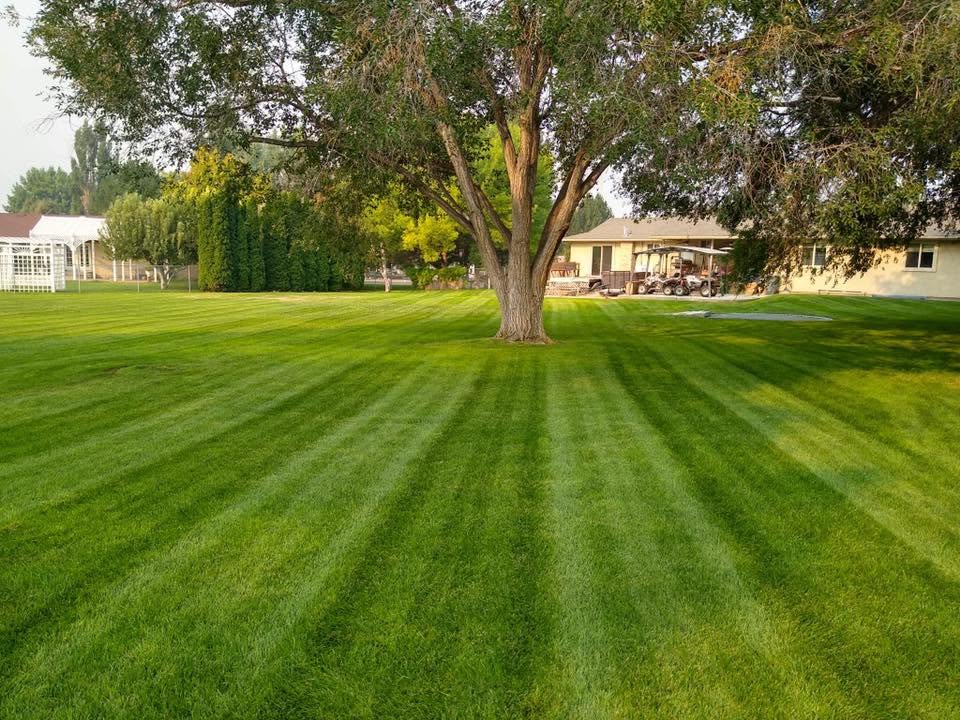 Beautifully striped residential lawn in the Magic Valley