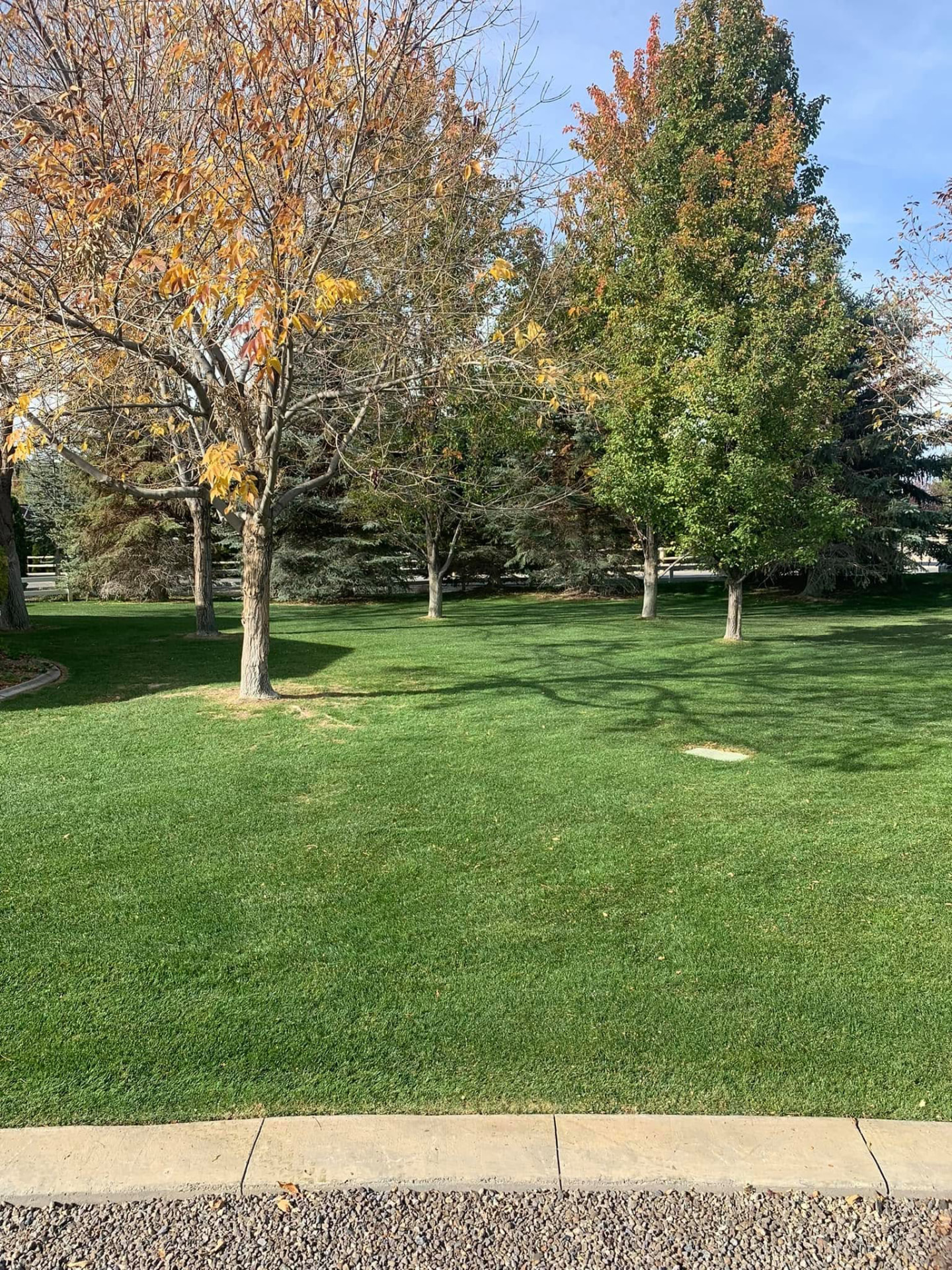 Lush green manicured lawn with mature trees