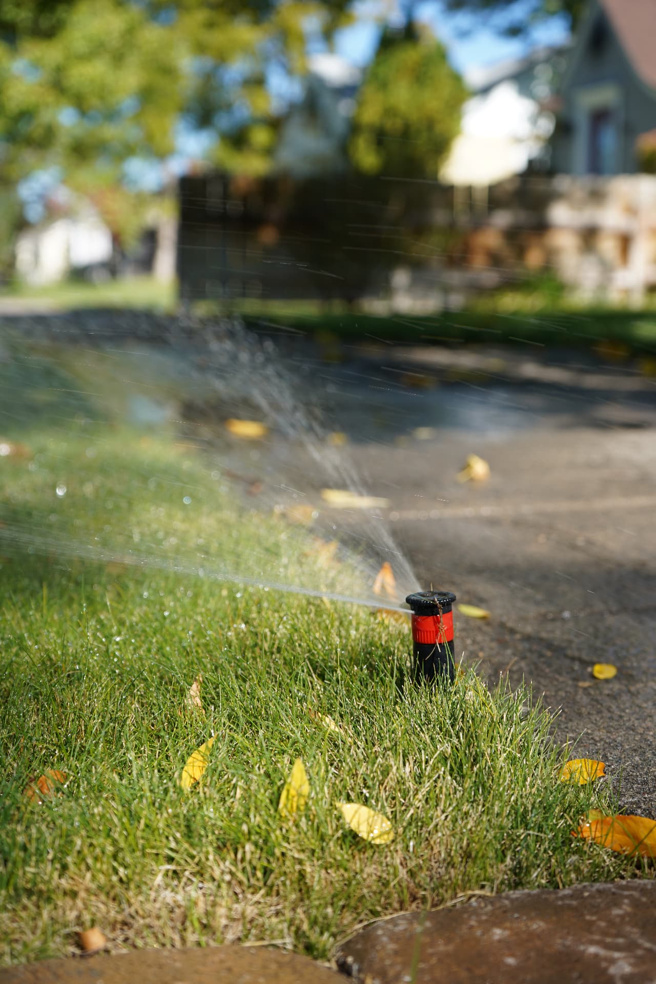 Sprinkler head spraying water along a curb edge