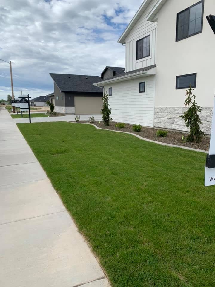 Fresh sod installation at a new home