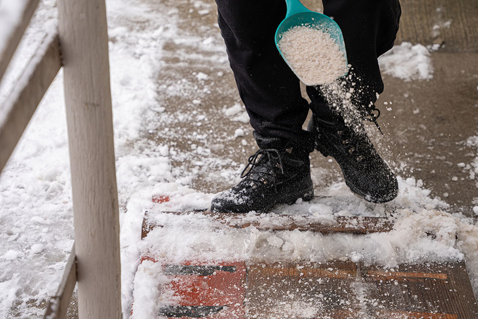 Salting a sidewalk - Hanks Custom Lawn Care Snow Removal services