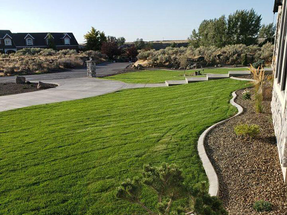 wide shot of a yard with new landscaping and curbing to divide the grass and flower beds