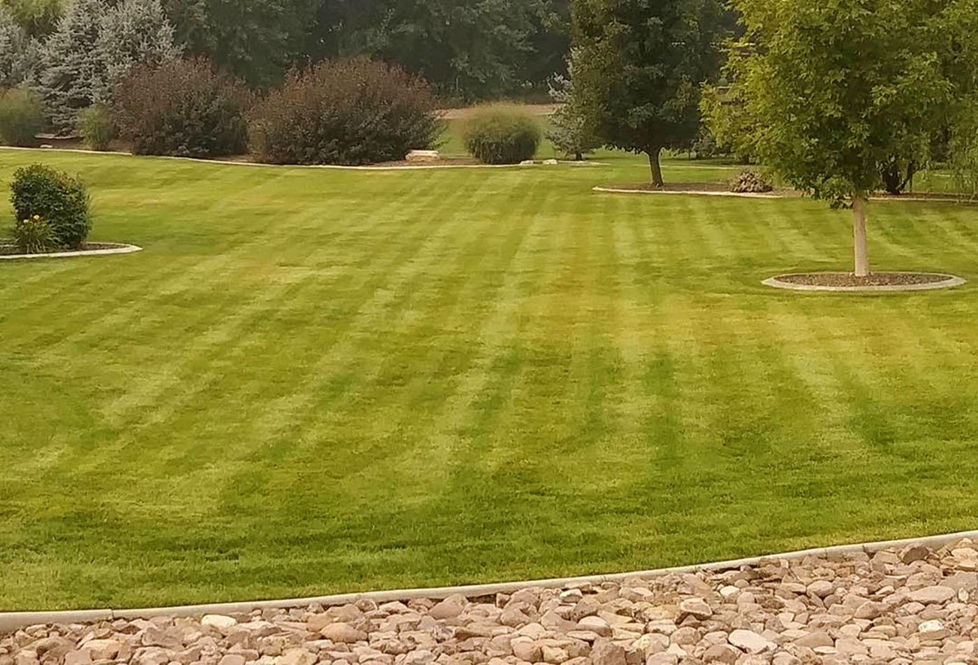 Large grass landscaping - Hanks Custom Lawn Care